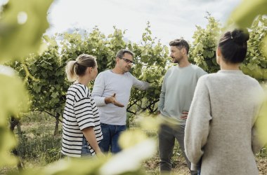 In die Grean gehen, © Weinviertel Tourismus / Sophie Menegaldo