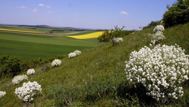 Ottenthal, © Gemeinde Ottenthal