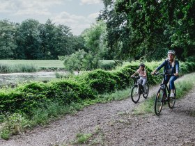 Durch die schönste Aulandschaft der March, © Weinviertel Tourismus / Schwarz-König und Sinzinger