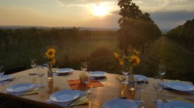 Sunset Tasting, © Winzerfamlie Pfalz