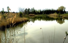 Watzelsdorf Wasserwelt, © Peter Stadler